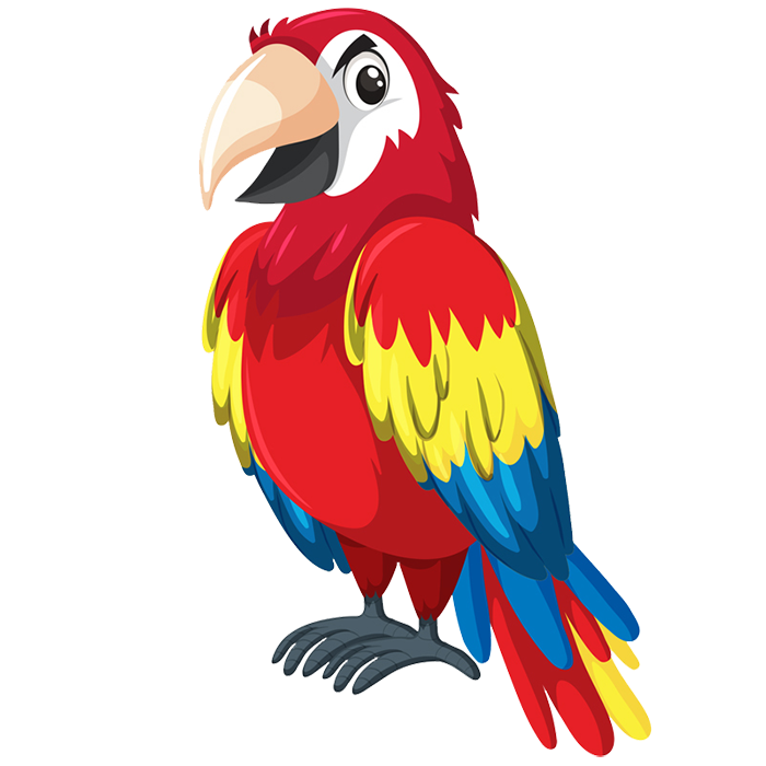 カラフルなオウム